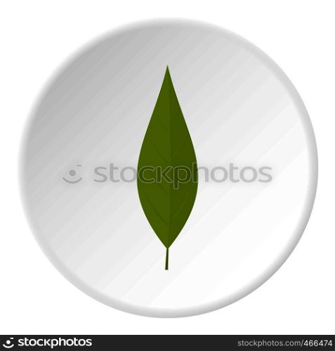 Green leaf of willow icon in flat circle isolated on white background vector illustration for web. Green leaf of willow icon circle