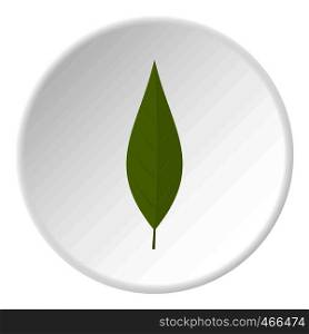 Green leaf of willow icon in flat circle isolated on white background vector illustration for web. Green leaf of willow icon circle