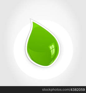 Green leaf on a white background. A vector illustration