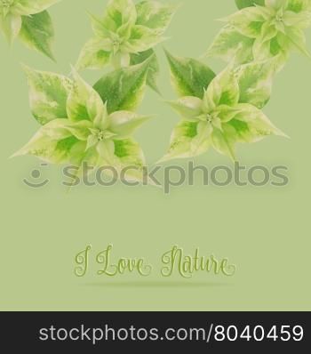 Green leaf on green background with copy space,love nature concept