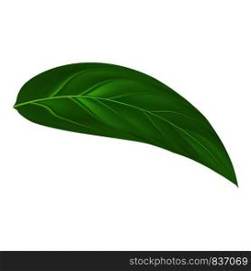 Green leaf peach mockup. Realistic illustration of green leaf peach vector mockup for web design isolated on white background. Green leaf peach mockup, realistic style