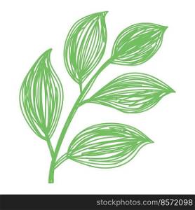 Green leaf sketch. Hand drawn vector illustration. Pen or marker doodle plant.