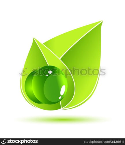 Green leaf vector concept