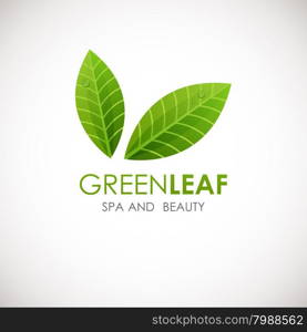 Green leaf vector logo design template. Green leaf vector logo design template.