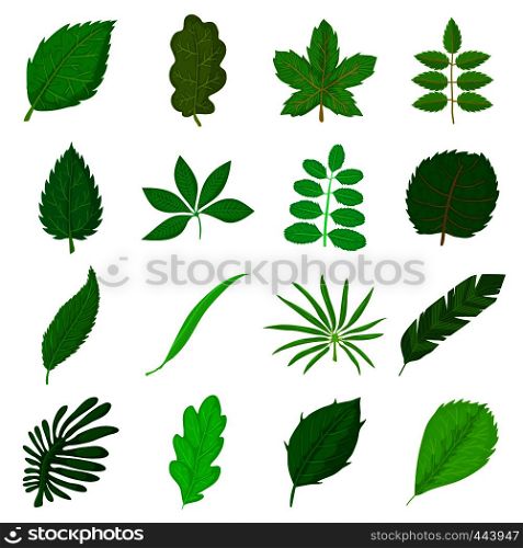 Green leafs icons set. Cartoon illustration of 16 green leafs vector icons for web. Green leafs icons set, cartoon style