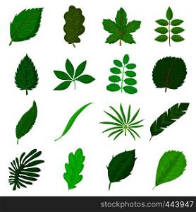 Green leafs icons set. Cartoon illustration of 16 green leafs vector icons for web. Green leafs icons set, cartoon style