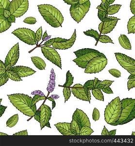 Green leafs of fresh mint. Vector seamless pattern. Mint seamless green leaf pattern illustration. Green leafs of fresh mint. Vector seamless pattern