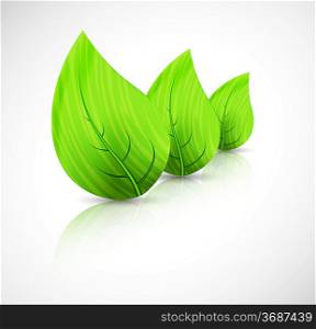 Green leaves. Abstract spring illustration