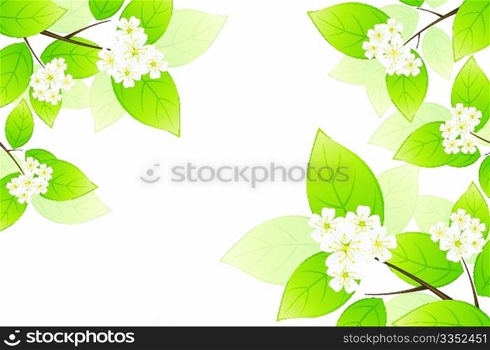 Green leaves and flowers