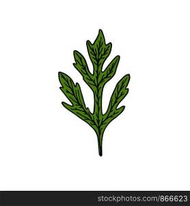 Green Leaves badges. Eco print design. Parsley leaf. Green Leaves badges. Eco print design. Parsley leaf.