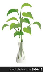 Green leaves branches in vase. Tree shoots home decoration isolated on white background. Green leaves branches in vase. Tree shoots home decoration