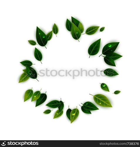 Green leaves decorative frame, vector illustration