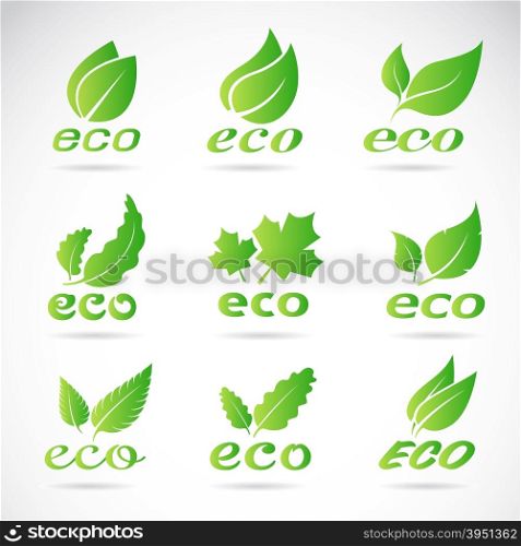 Green leaves design. Ecology icon set. Green eco icons badge vector.