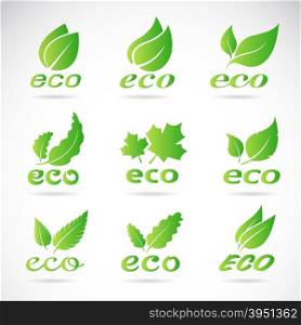 Green leaves design. Ecology icon set. Green eco icons badge vector.