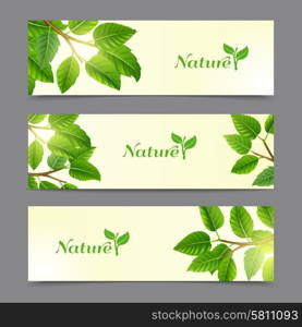 Green leaves eco banners set. Trees branches with green leaves earth friendly organic natural products horizontal banners collection abstract isolated vector illustration