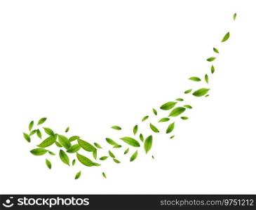 Green leaves fly with a gust of wind. Green leaves wave. Leaf falling. Vegan, eco, organic design element. Vector illustration. Green leaves fly with a gust of wind.