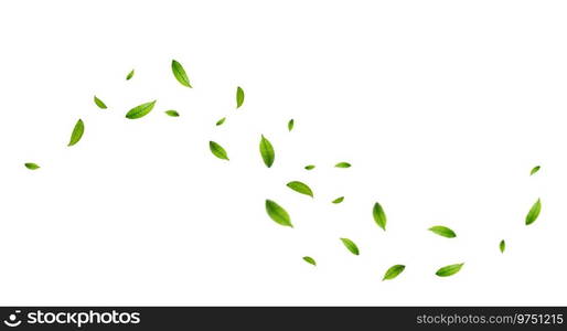 Green leaves fly with a gust of wind. Green leaves wave. Leaf falling. Vegan, eco, organic design element. Vector illustration. Green leaves fly with a gust of wind.