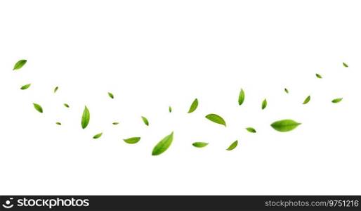 Green leaves fly with a gust of wind. Green leaves wave. Leaf falling. Vegan, eco, organic design element. Vector illustration. Green leaves fly with a gust of wind.