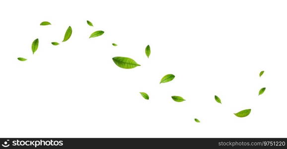 Green leaves fly with a gust of wind. Green leaves wave. Leaf falling. Vegan, eco, organic design element. Vector illustration. Green leaves fly with a gust of wind.