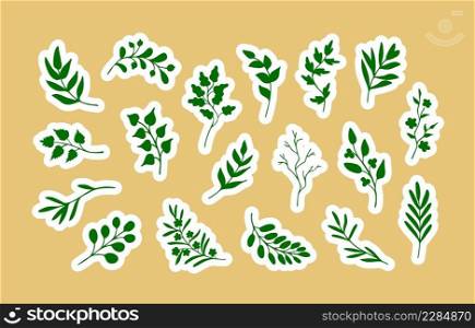 Green leaves, herbs, twigs stickers. Hand drawn design. Eco, bio, or springtime, summertime symbols. Collection of clip art elements. Dark green leaves and twigs, sticker outline
