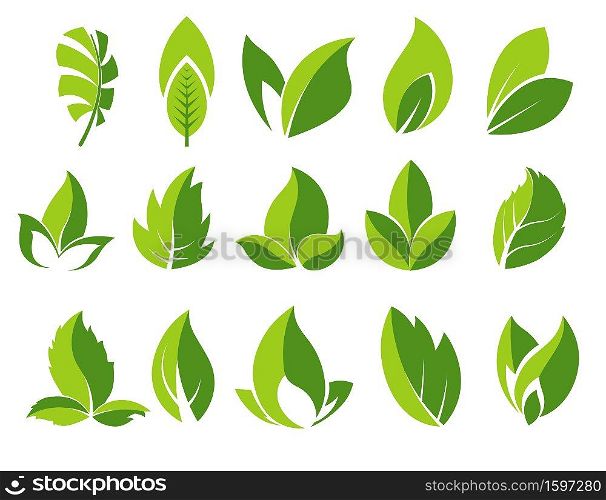 Green leaves icons set. Leaf abstract logo collection. Birch, tropical palm tree leaf or bush plant. Various shapes of greenery, park, nature and ecology symbol. Graphic vector illustration on white.. Green leaf and leaves abstract icons set