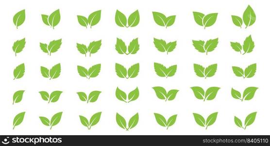 Green leaves icons set. Leafs different shapes. Eco, bio, organic, vegetarian design element. Nature symbols isolated on white background.  Vector illustration.. Green leaves icons set. Leafs different shapes. Eco, bio, organic, vegetarian design element. 