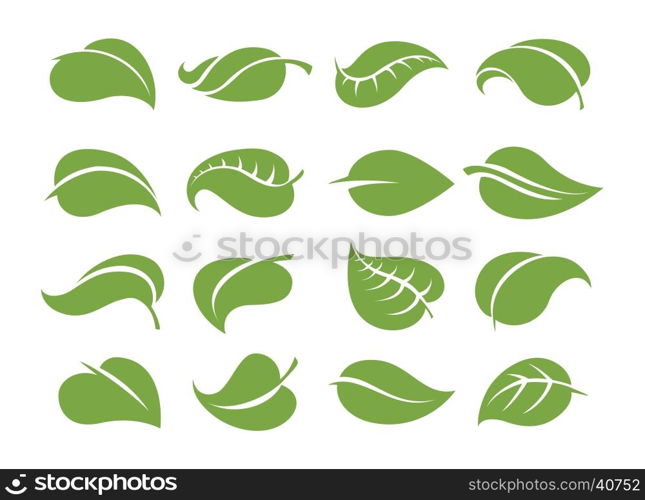 Green leaves icons. Vector leaf icons. Various shapes of green leaves isolated on white background