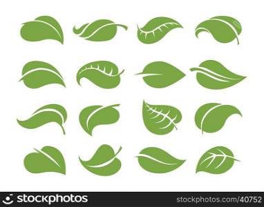 Green leaves icons. Vector leaf icons. Various shapes of green leaves isolated on white background