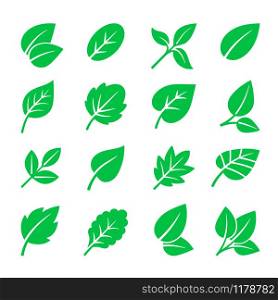 Green leaves icons. Vector leaf symbols illustration, trees leafs signs isolated on white for natural logo and green labels. Green leaves icons. Vector leaf symbols illustration, trees leafs signs on white for natural logo