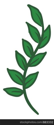 Green leaves, illustration, vector on white background.