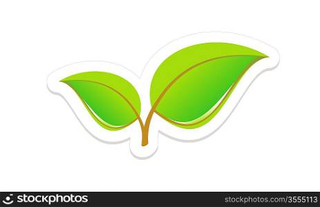Green Leaves Isolated on White