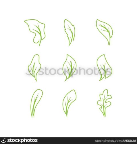 Green leaves logo.green leaf icons set vector template