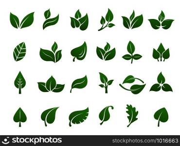 Green leaves logo. Plant nature eco garden stylized icon vector botanical collection. Green leaf and eco botanic label illustration. Green leaves logo. Plant nature eco garden stylized icon vector botanical collection