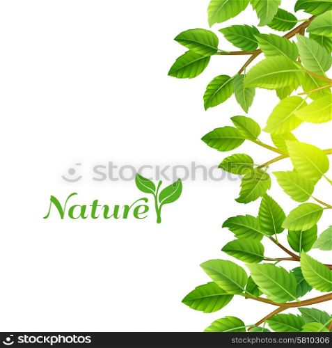 Green leaves nature background print. Nature eco planet clean energy sources green leaves trees branches ecological background poster print abstract vector illustration