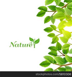 Green leaves nature background print. Nature eco planet clean energy sources green leaves trees branches ecological background poster print abstract vector illustration