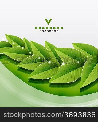 Green leaves nature design. Vector illustration