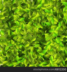 Green leaves pattern degign. + EPS10 vector file