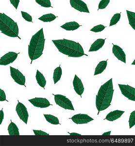 Green Leaves Seamless Pattern Vector Illustration. Leaves vector seamless pattern. Flat style illustration. Falling green tree leaves on white background. Autumn defoliation. For wrapping paper, greeting card, invitation, printing materials design