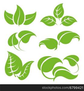 Green leaves set. Green leaves vector set isolated on white background