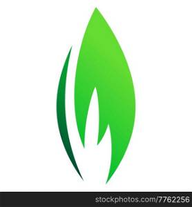 Green leaves set icons, various vector shapes of leaf of trees and plants, elements for eco and bio logos.. Green leaves set icons, various vector shapes of leaf of trees and plants, elements for eco and bio logos