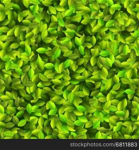 Green leaves texture Seamless pattern. + EPS10 vector file
