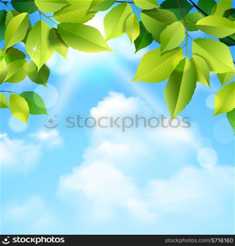 Green leaves tree foliage and blue sky clouds outdoor realistic background vector illustration