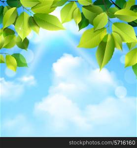 Green leaves tree foliage and blue sky clouds outdoor realistic background vector illustration