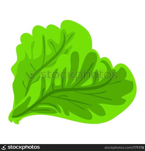 Green lettuce leaf icon. Cartoon of green lettuce leaf vector icon for web design isolated on white background. Green lettuce leaf icon, cartoon style