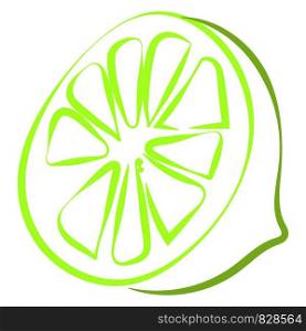 Green lime drawing, illustration, vector on white background.