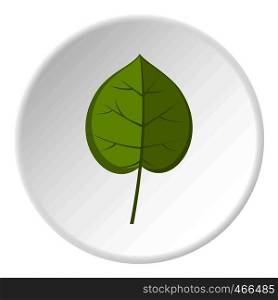 Green linden leaf icon in flat circle isolated on white background vector illustration for web. Green linden leaf icon circle