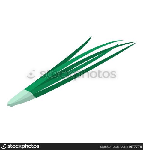 Green long onion icon. Isometric of green long onion vector icon for web design isolated on white background. Green long onion icon, isometric style