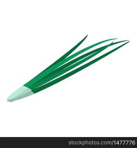 Green long onion icon. Isometric of green long onion vector icon for web design isolated on white background. Green long onion icon, isometric style