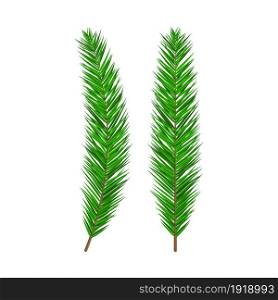 Green lush spruce branch. Evergreen tree, fir branches. Happy new year decoration. Merry christmas holiday. New year and xmas celebration. Vector illustration in flat style. Green lush spruce branch. Evergreen tree, fir