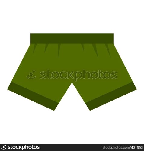Green man boxer briefs icon flat isolated on white background vector illustration. Green man boxer briefs icon isolated